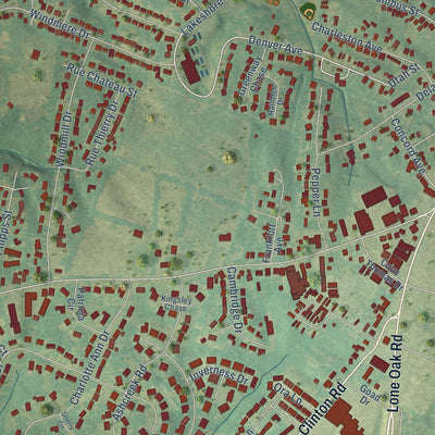 Close-up of the map of Massac, Kentucky print showing street and building detail