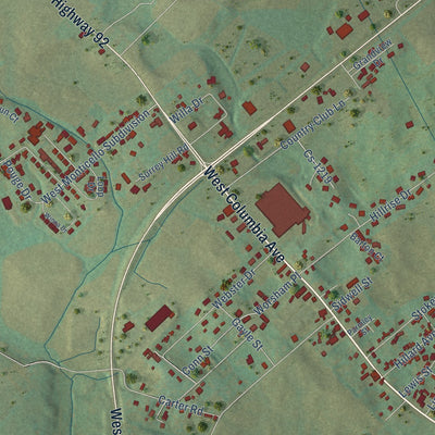 Second close-up of the map of Monticello, Kentucky print showing more streets and buildings