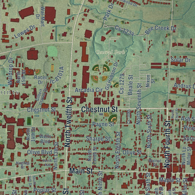 Close-up of the map of Murray, Kentucky print showing street and building detail