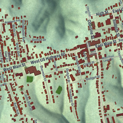 Close-up of the map of Owingsville, Kentucky print showing street and building detail