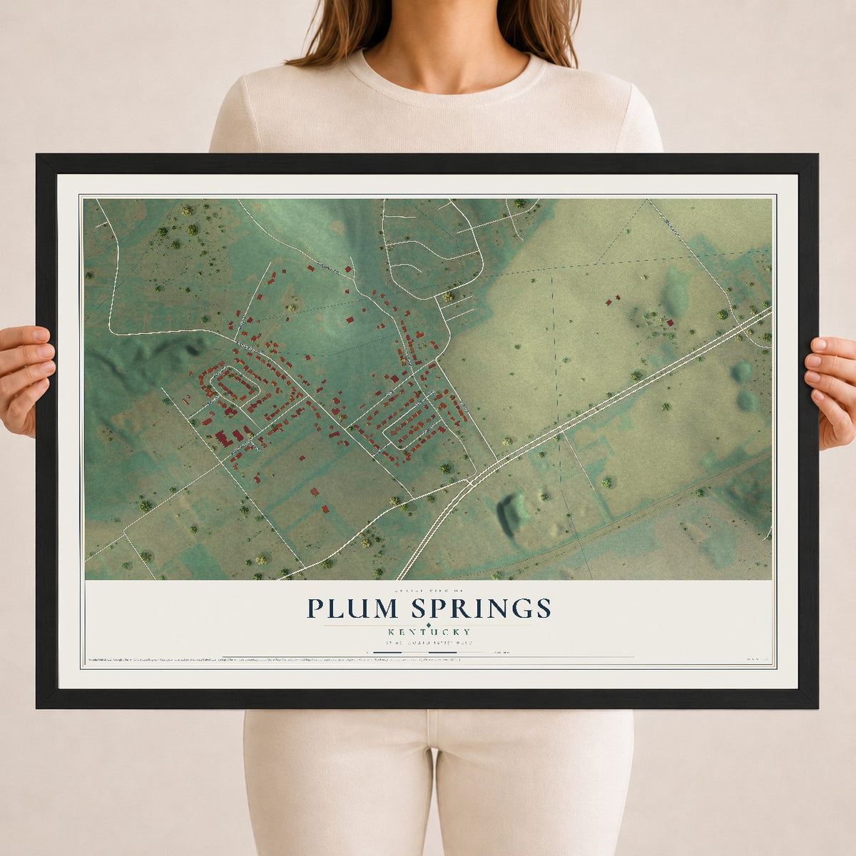 Map of Plum Springs, Kentucky, 18 x 24 inch print in a black wood frame