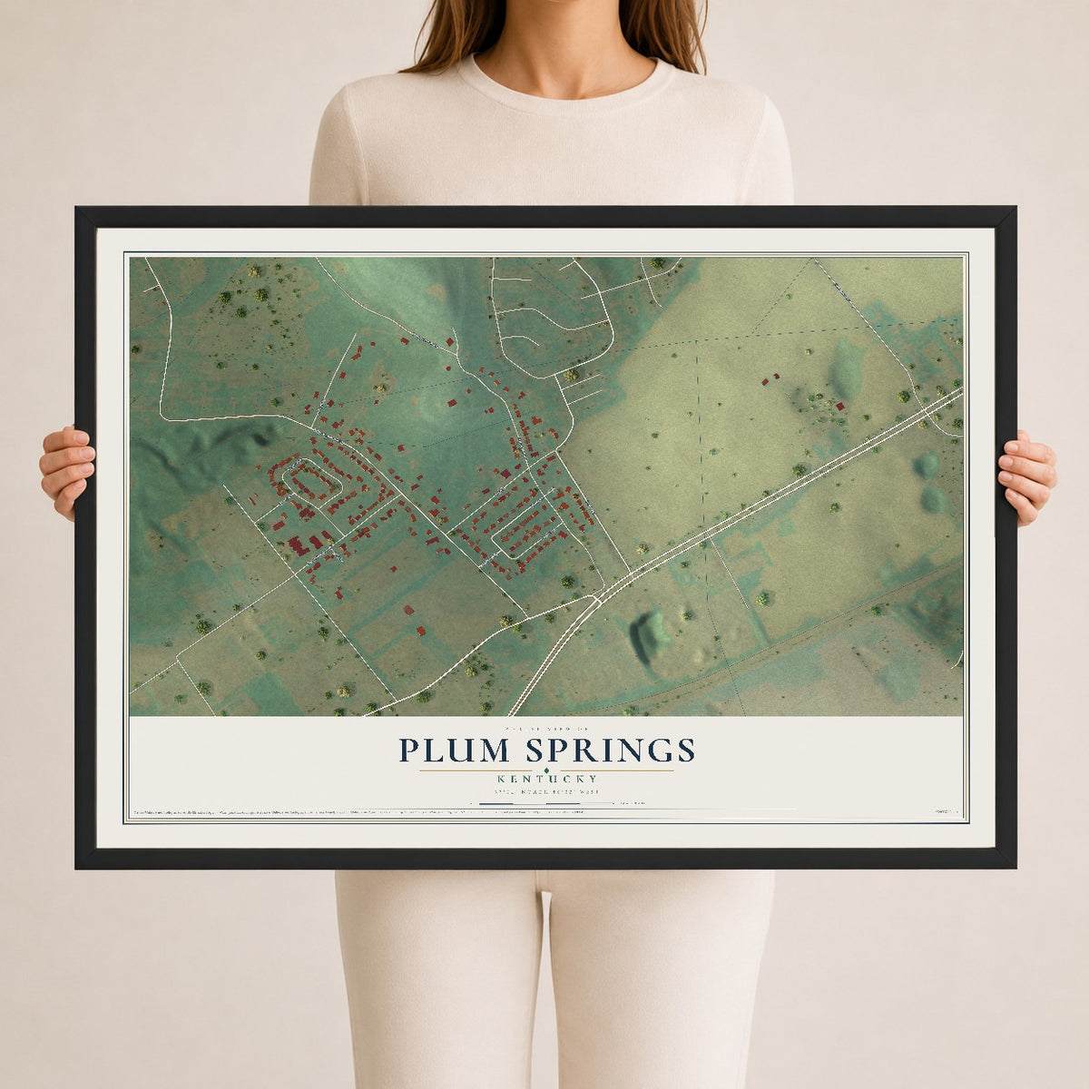 Map of Plum Springs, Kentucky, 24 x 36 inch print in a black wood frame