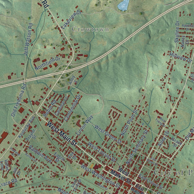 Close-up of the map of Princeton, Kentucky print showing street and building detail