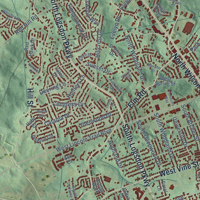 Close-up of the map of Radcliff, Kentucky print showing street and building detail