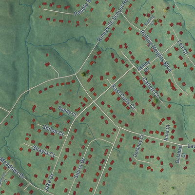 Close-up of the map of Rineyville, Kentucky print showing street and building detail