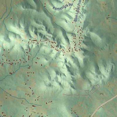 Close-up of the map of Rockfield, Kentucky print showing street and building detail