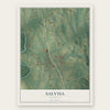 Salvisa, Kentucky map print, the full design