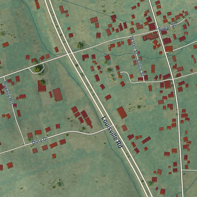 Close-up of the map of Salvisa, Kentucky print showing street and building detail