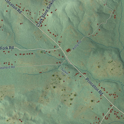 Close-up of the map of Sinking Fork, Kentucky print showing street and building detail