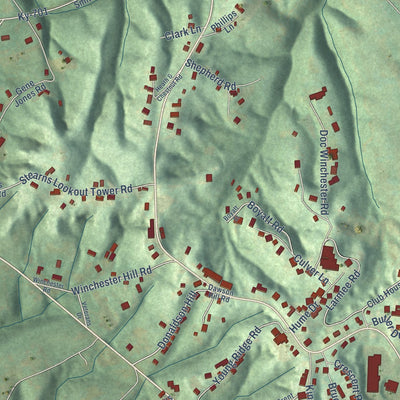 Close-up of the map of Stearns, Kentucky print showing street and building detail