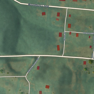 Second close-up of the map of Woodbury, Kentucky print showing more streets and buildings