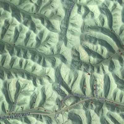 Close-up of the map of Woodsbend, Kentucky print showing street and building detail
