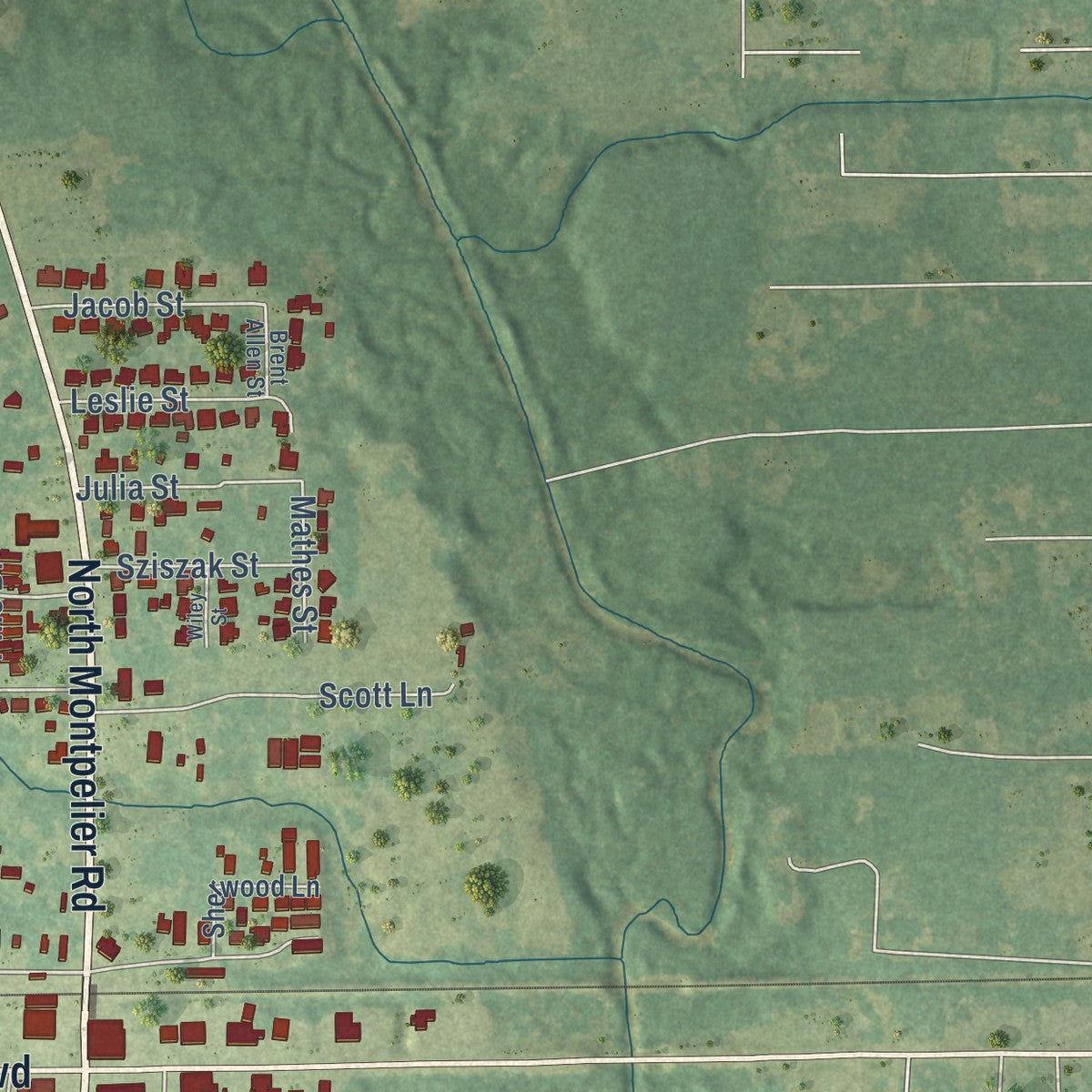 Second close-up of the map of Albany, Louisiana print showing more streets and buildings