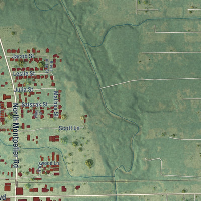 Second close-up of the map of Albany, Louisiana print showing more streets and buildings