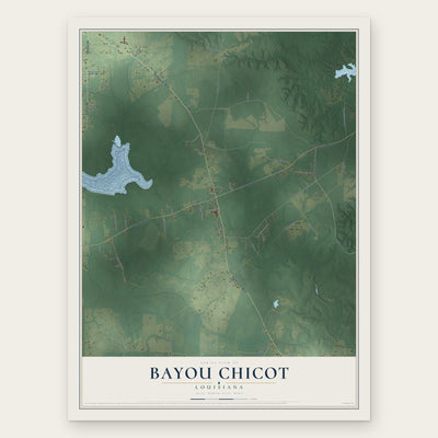 Bayou Chicot, Louisiana map print, the full design