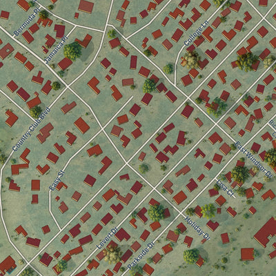 Close-up of the map of Bayou Country Club, Louisiana print showing street and building detail
