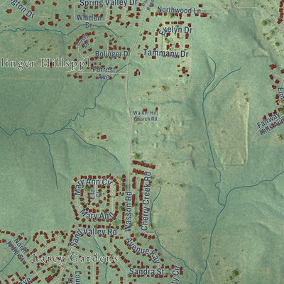 Close-up of the map of Blanchard, Louisiana print showing street and building detail