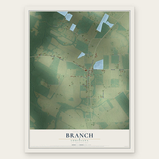 Branch, Louisiana map print, the full design