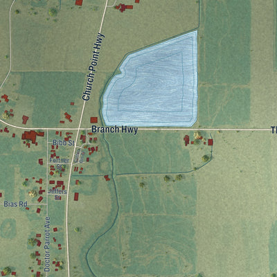 Close-up of the map of Branch, Louisiana print showing street and building detail