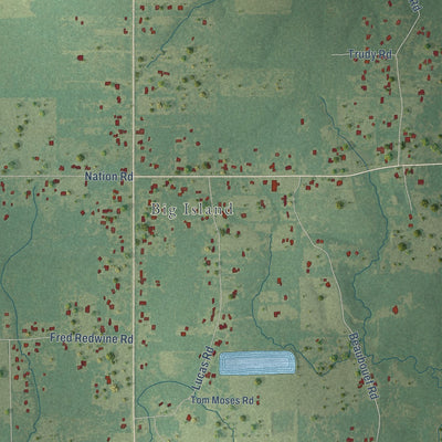 Close-up of the map of Buckeye, Louisiana print showing street and building detail