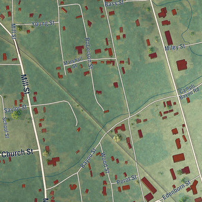 Close-up of the map of Campti, Louisiana print showing street and building detail