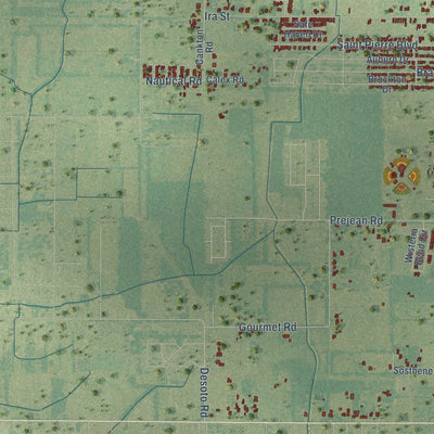 Second close-up of the map of Carencro, Louisiana print showing more streets and buildings
