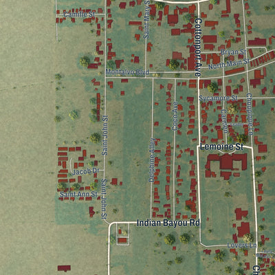 Close-up of the map of Cottonport, Louisiana print showing street and building detail