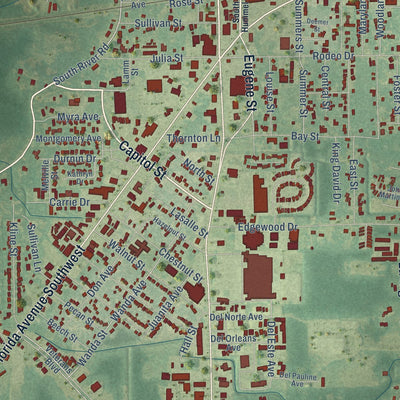 Close-up of the map of Denham Springs, Louisiana print showing street and building detail