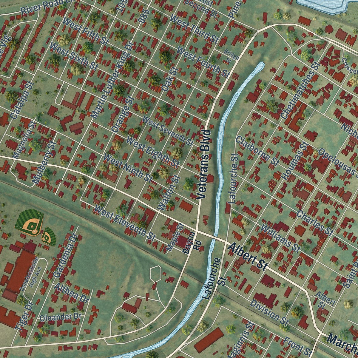 Close-up of the map of Donaldsonville, Louisiana print showing street and building detail