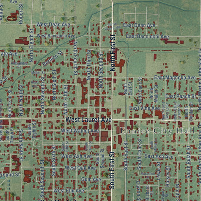 Close-up of the map of Eunice, Louisiana print showing street and building detail