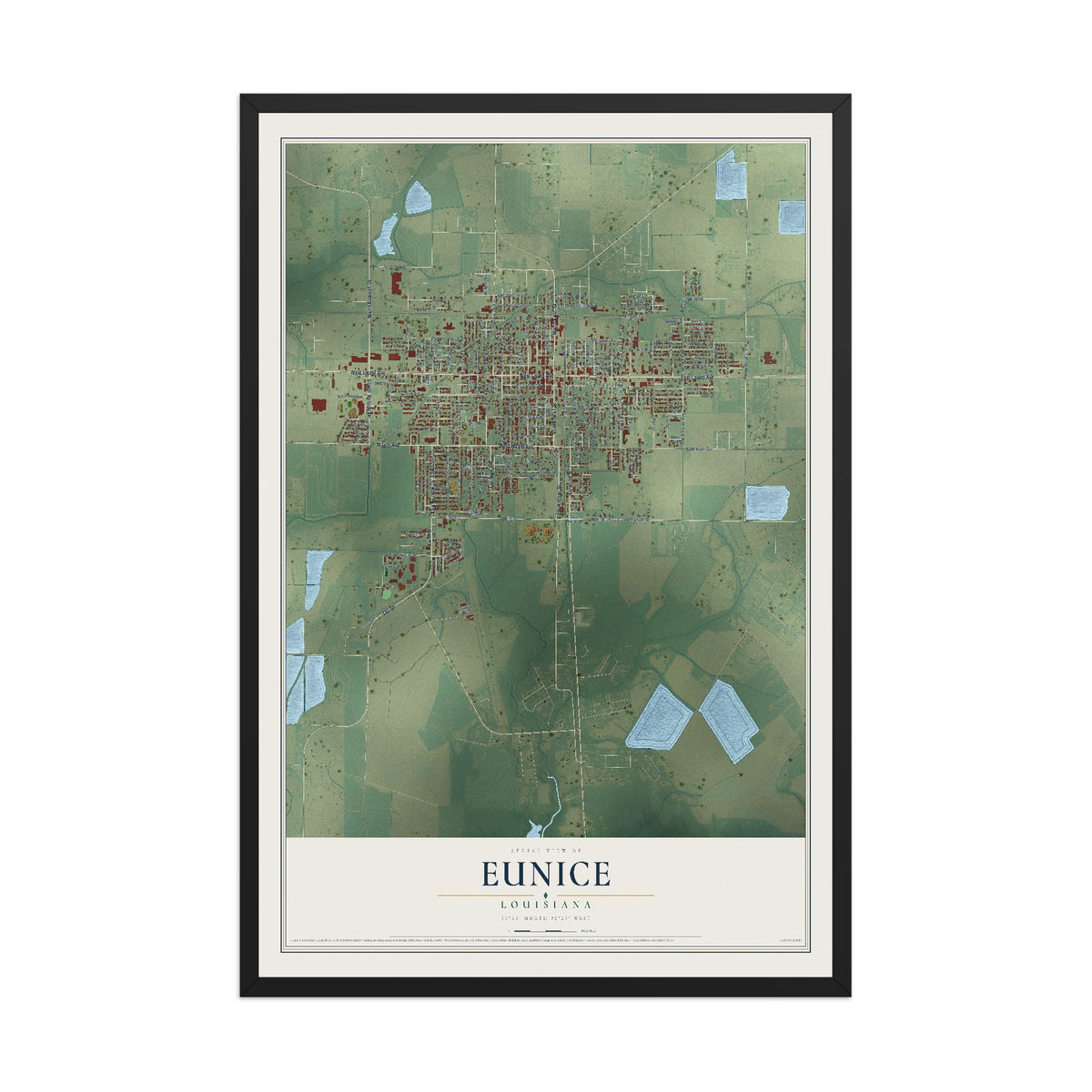 Map of Eunice, Louisiana, 12 x 18 inch print in a black wood frame