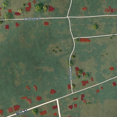 Second close-up of the map of Evergreen, Louisiana print showing more streets and buildings