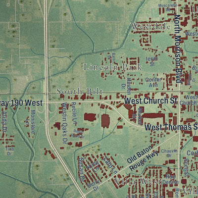 Second close-up of the map of Hammond, Louisiana print showing more streets and buildings