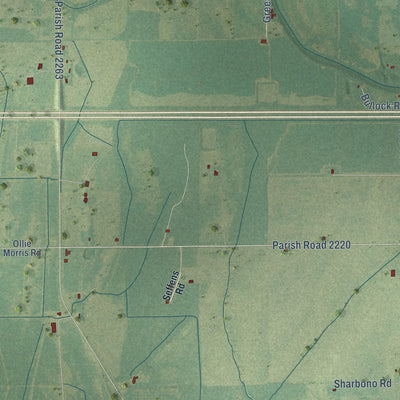 Close-up of the map of Holly Ridge, Louisiana print showing street and building detail