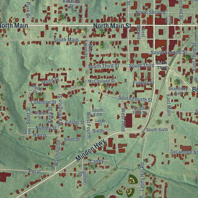 Close-up of the map of Homer, Louisiana print showing street and building detail