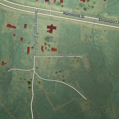 Second close-up of the map of Hornbeck, Louisiana print showing more streets and buildings