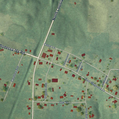 Close-up of the map of Ida, Louisiana print showing street and building detail