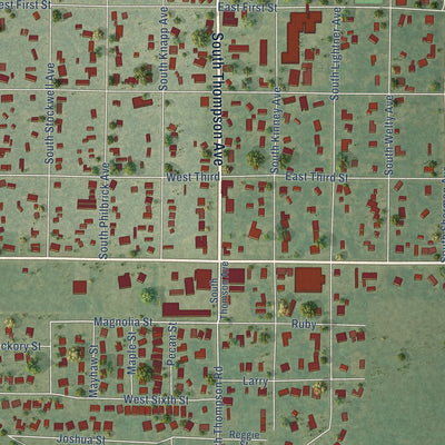 Close-up of the map of Iowa, Louisiana print showing street and building detail