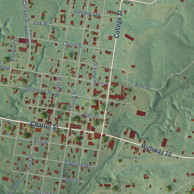 Close-up of the map of Jackson, Louisiana print showing street and building detail