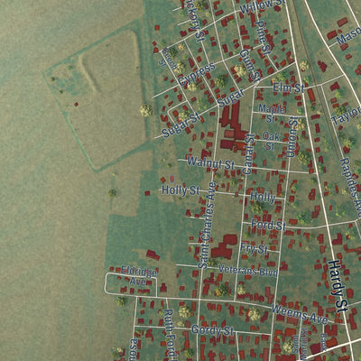 Close-up of the map of Lecompte, Louisiana print showing street and building detail