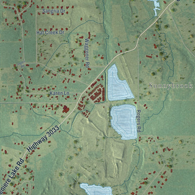 Close-up of the map of Lenwil, Louisiana print showing street and building detail