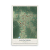 Map of Livingston, Louisiana, 12 x 18 inch unframed archival matte print