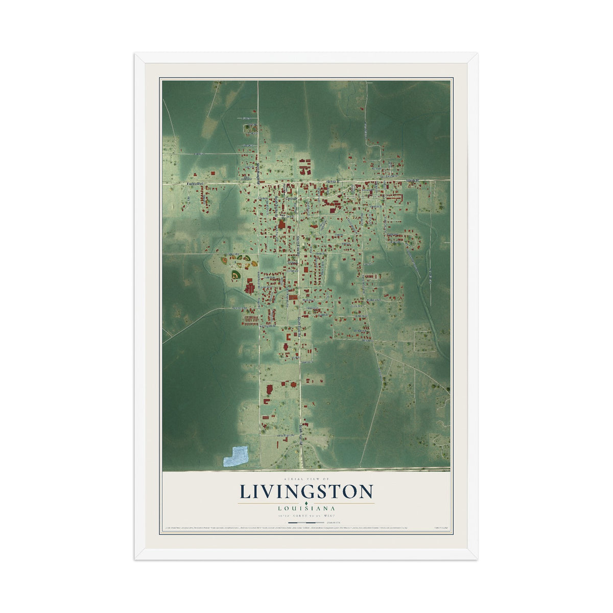 Map of Livingston, Louisiana, 12 x 18 inch print in a white wood frame