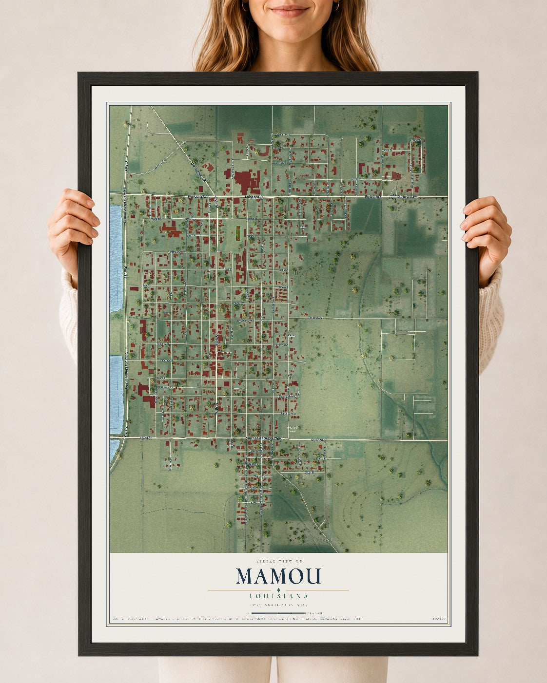 Map of Mamou, Louisiana, 24 x 36 inch print in a black wood frame