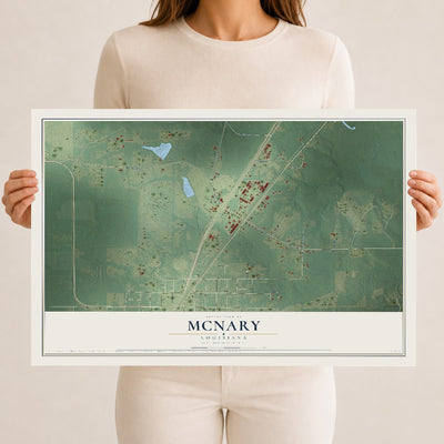 Map of McNary, Louisiana, 12 x 18 inch unframed archival matte print