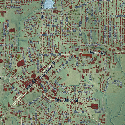 Close-up of the map of Minden, Louisiana print showing street and building detail