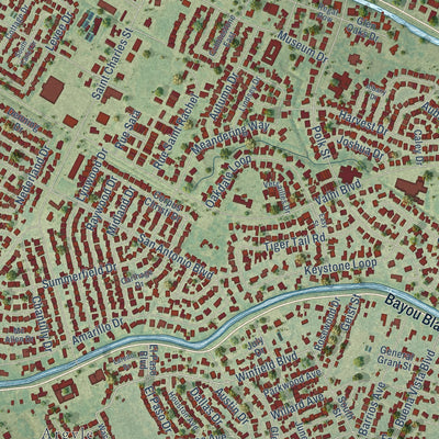 Close-up of the map of Mulberry, Louisiana print showing street and building detail