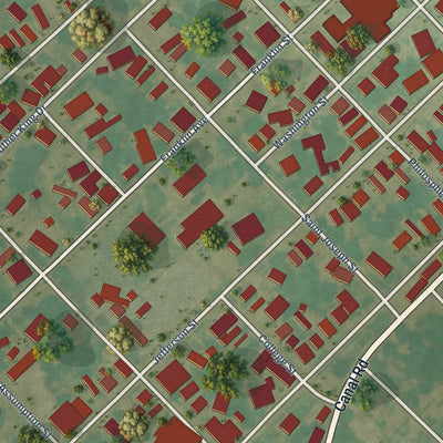 Close-up of the map of Napoleonville, Louisiana print showing street and building detail