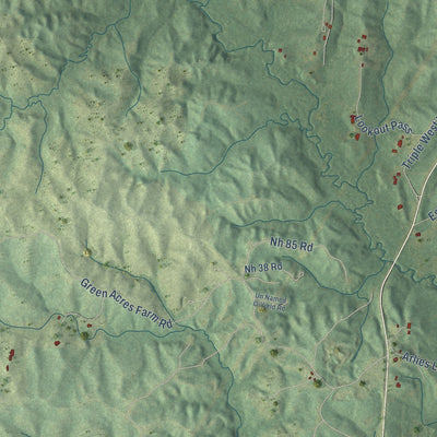 Close-up of the map of Nebo, Louisiana print showing street and building detail