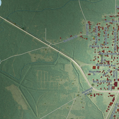 Second close-up of the map of Oakdale, Louisiana print showing more streets and buildings